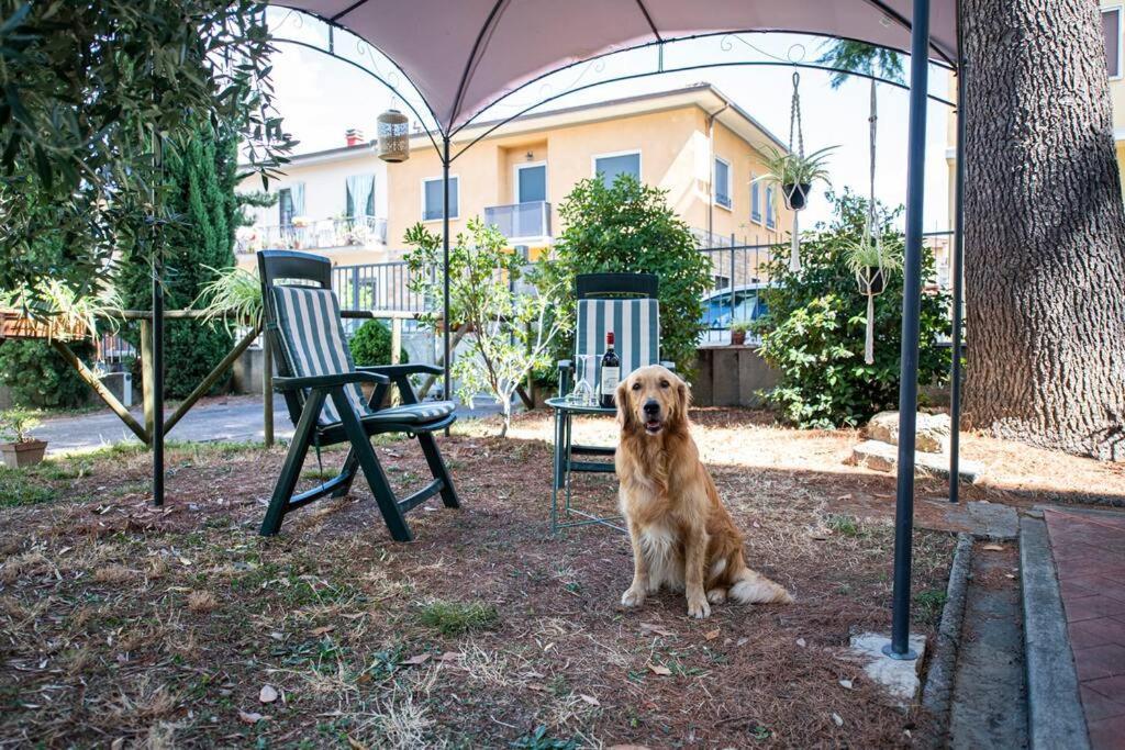Easy Florence Scandicci Exterior foto